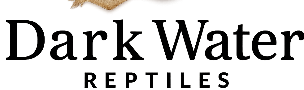 Reptiles For Sales Dark Water